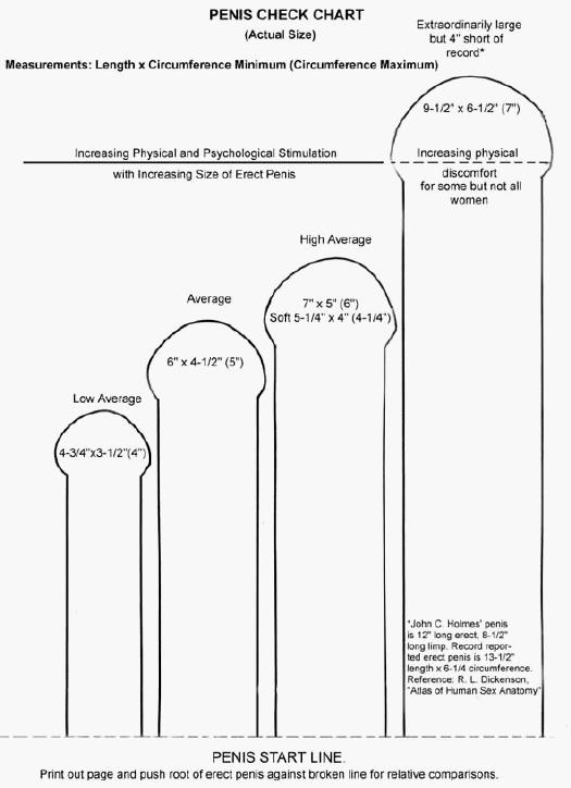penis, size, check, chart, average, big, hung